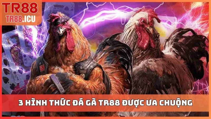 3 hình thức đá gà TR88 được ưa chuộng