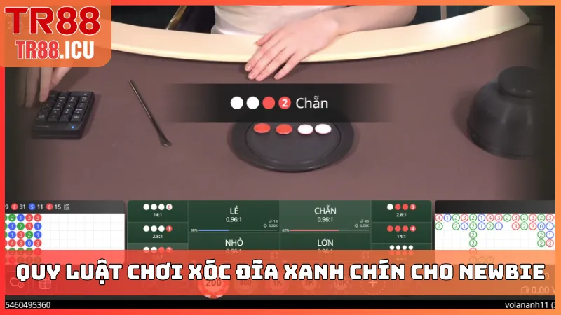 Quy luật chơi Xóc Đĩa xanh chín cho newbie